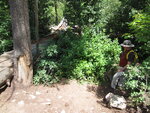 pic_40788.jpg