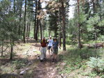 pic_40790.jpg
