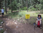 pic_40795.jpg