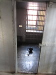 pic_41885.jpg