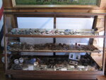 pic_41980.jpg
