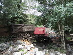 pic_42004.jpg