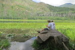 pic_40308.jpg