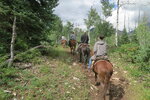 pic_40324.jpg