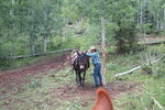 pic_40332.jpg
