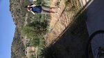 pic_40355.png