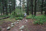 pic_40538.jpg
