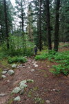 pic_40539.jpg
