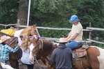 pic_40554.jpg