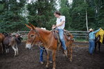 pic_40559.jpg