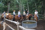 pic_40567.jpg