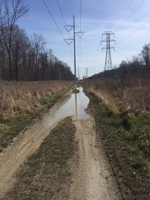 Blog 2016 A Bike Tour Home