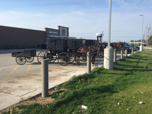 Indiana Dutch?