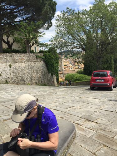 Blog 2016 Italy