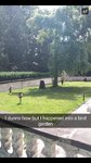 pic_34048.png