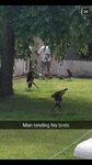 pic_34049.png