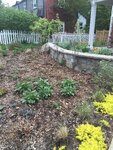 pic_38099.png