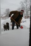 pic_36782.png
