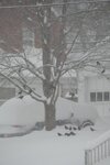 pic_36784.png