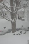 pic_36785.png