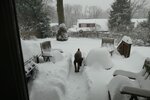 pic_36787.png
