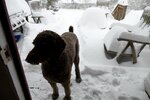 pic_36788.png