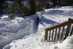 pic_36806.png