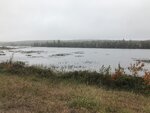 pic_43628.png