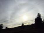 pic_43804.png