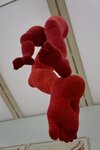 pic_46393.png