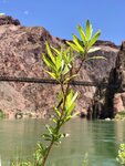 Rafting Grand Canyon