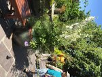 pic_57999.jpg