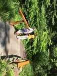 pic_58000.jpg