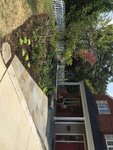 pic_58001.jpg