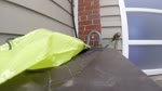 mov_podZilla.mp4