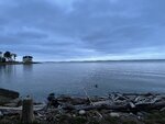 pic_59283.jpg