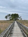 pic_59284.jpg