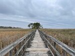 pic_59285.jpg