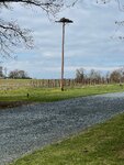pic_59290.jpg