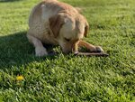 pic_59294.jpg