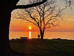 pic_59295.jpg