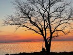 pic_59298.jpg