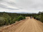 pic_60330.jpg