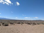 pic_60341.jpg