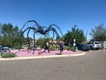pic_60373.jpg