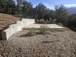 pic_60072.jpg