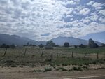 pic_60075.jpg