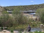 pic_60079.jpg