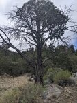 pic_60087.jpg