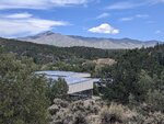 pic_60088.jpg